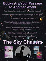 Librarians Sky Chasers Poster